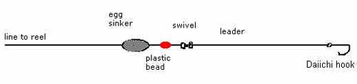 fish-finder-rig2.bmp