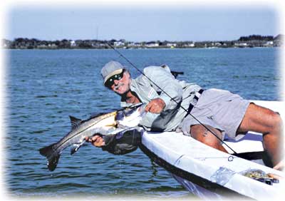 Florida Fishing Seasons Chart